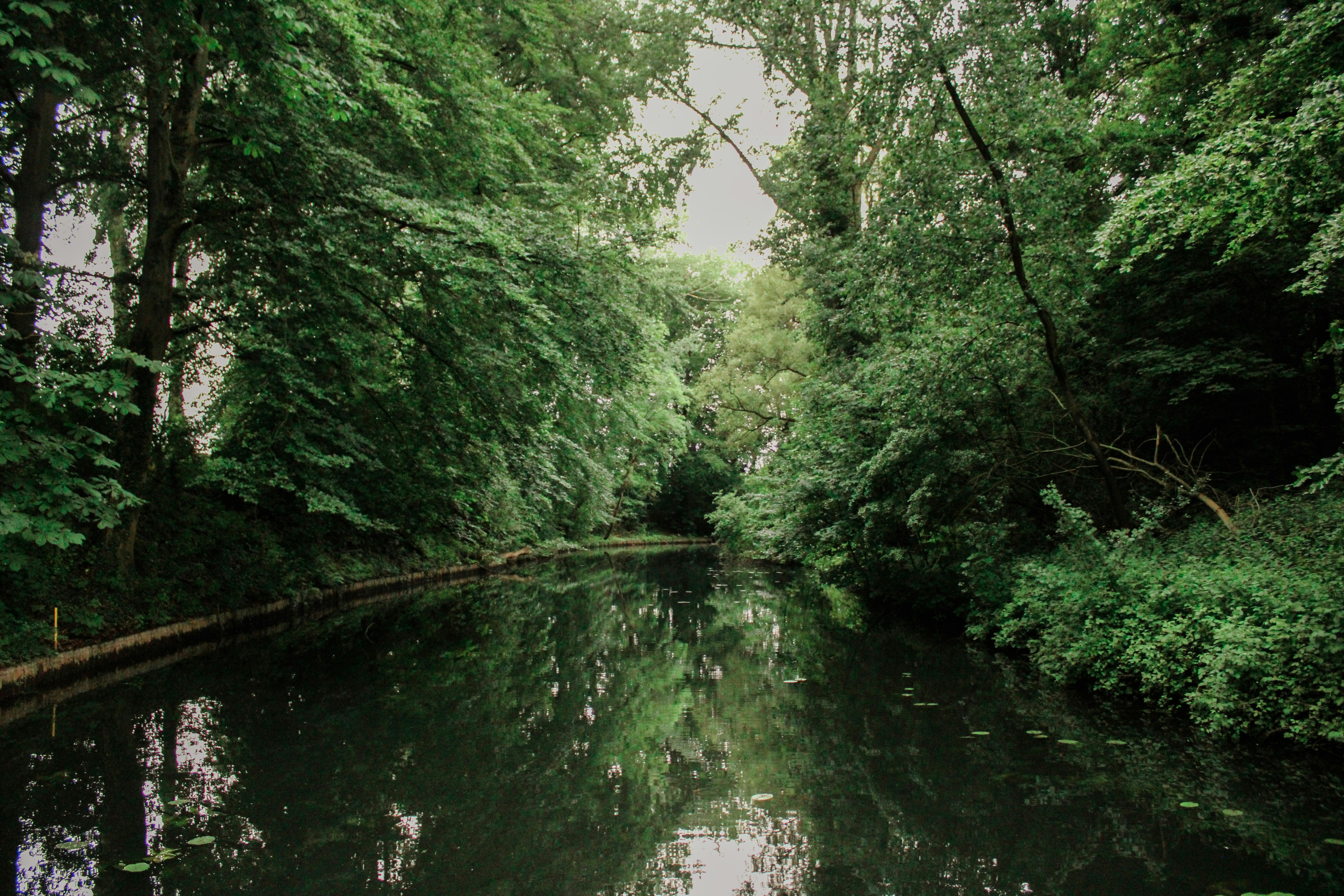 Photo by celinalangex