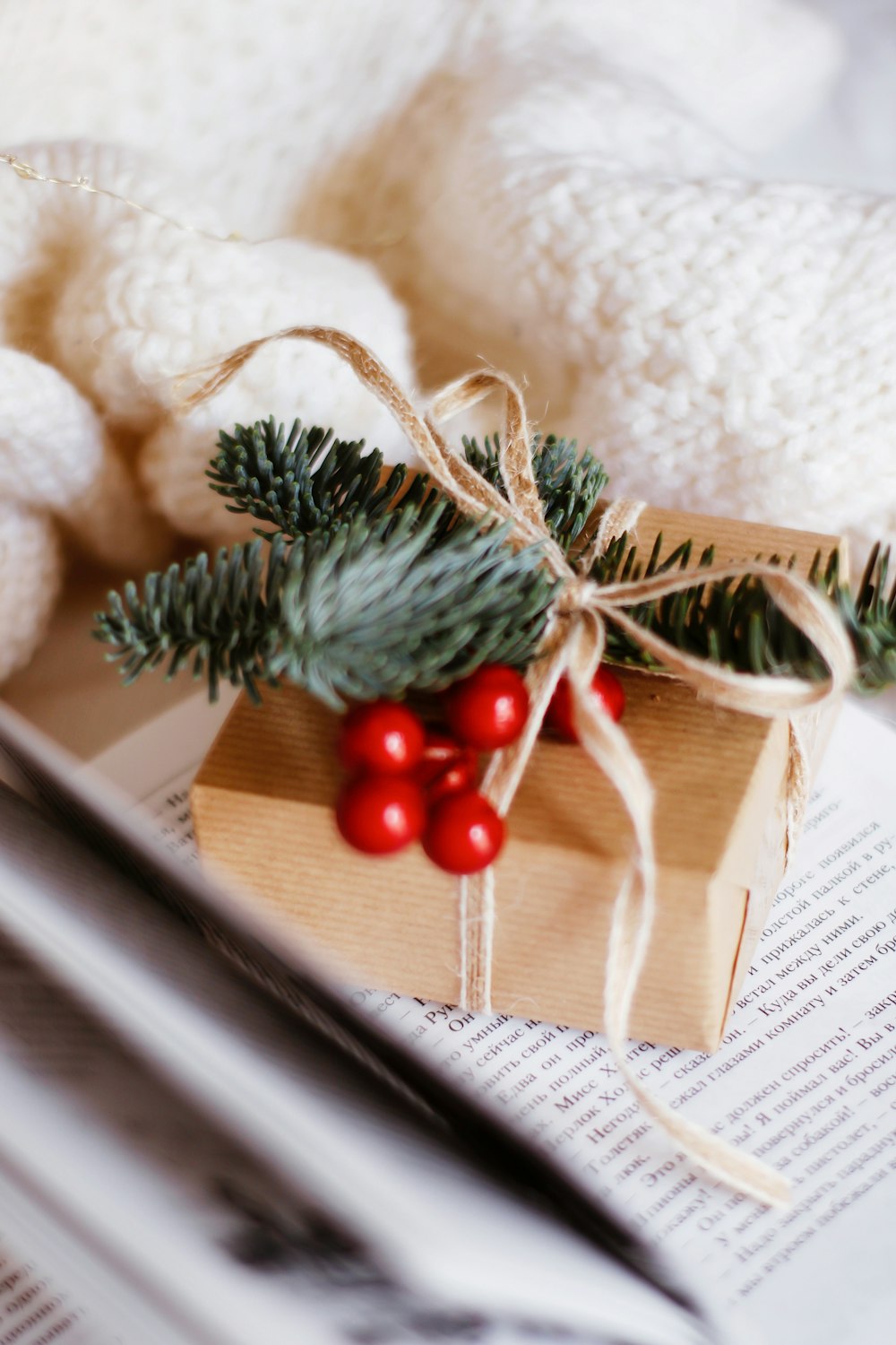 fruits ronds rouges et blancs sur corbeille en bois brun