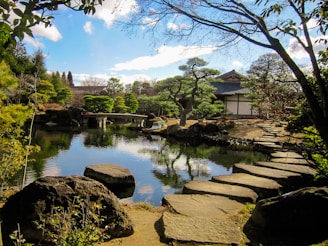 A serene Japanese garden with lush greenery and a tranquil pond.