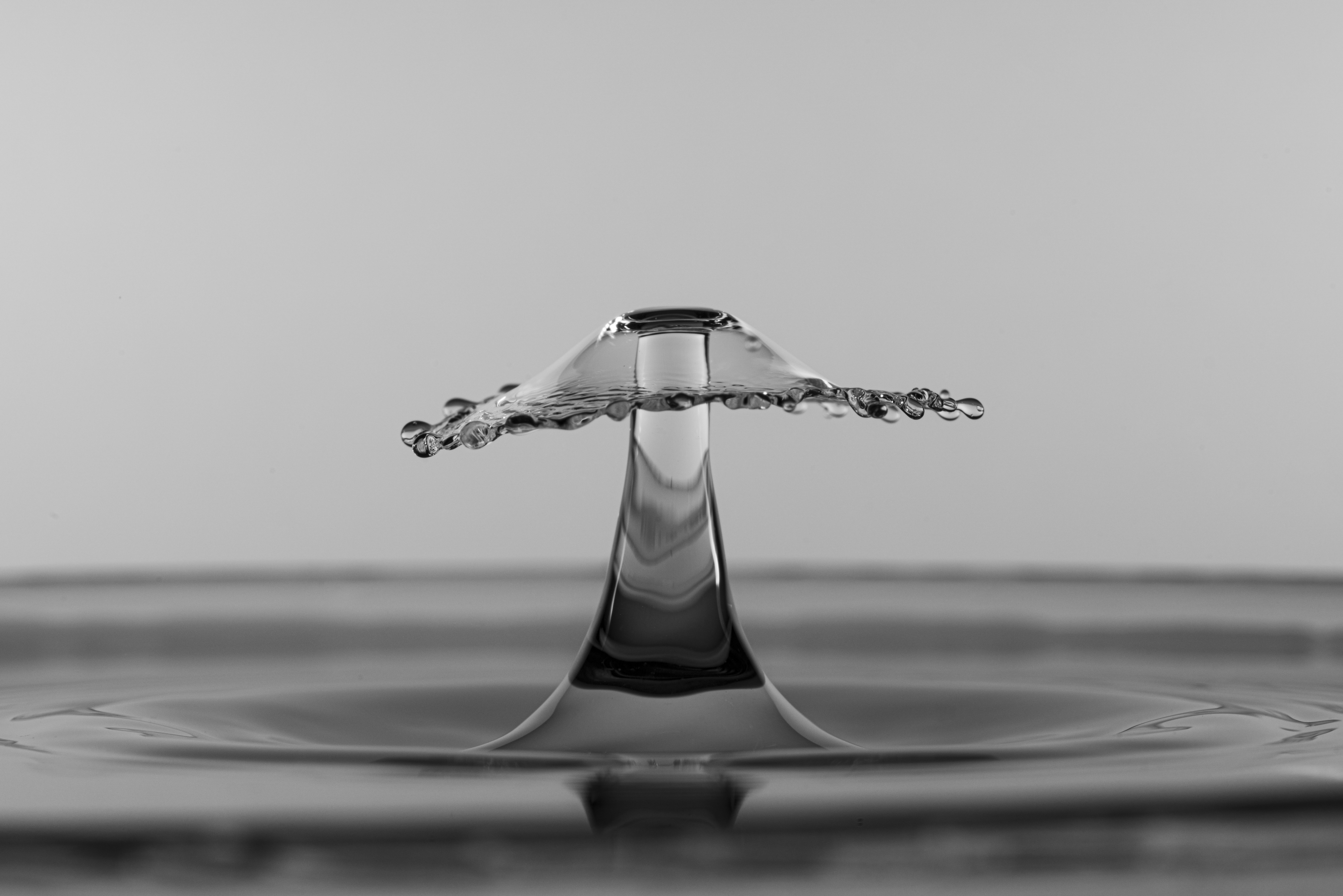 Photo by mickdepaola