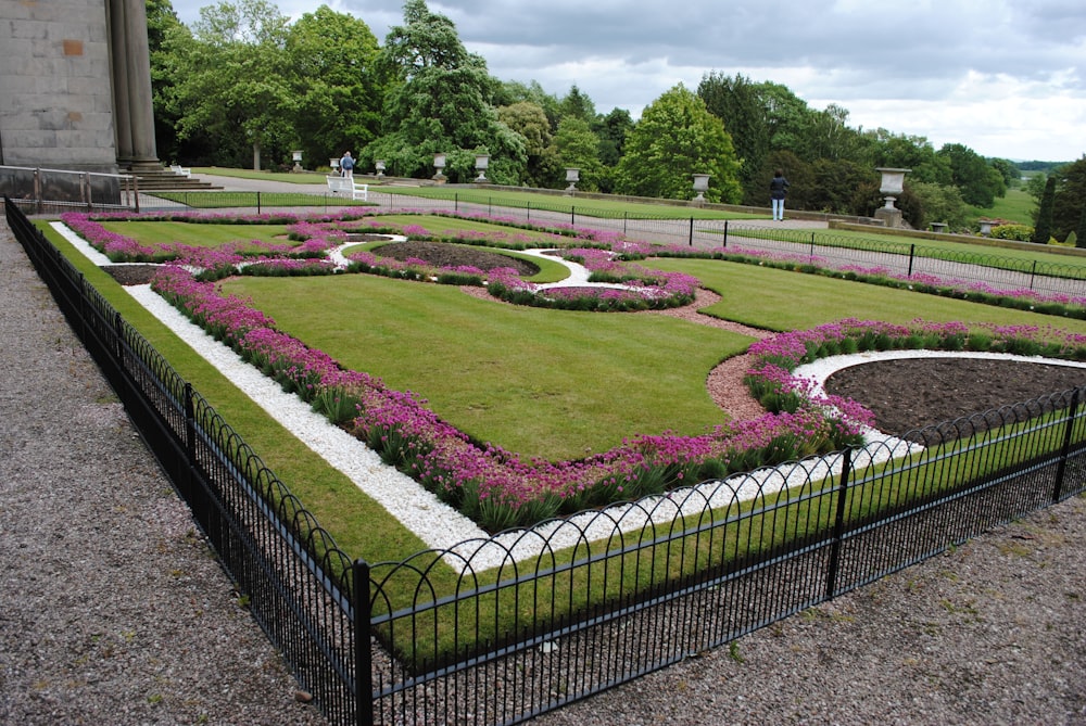 purple flower garden during daytime