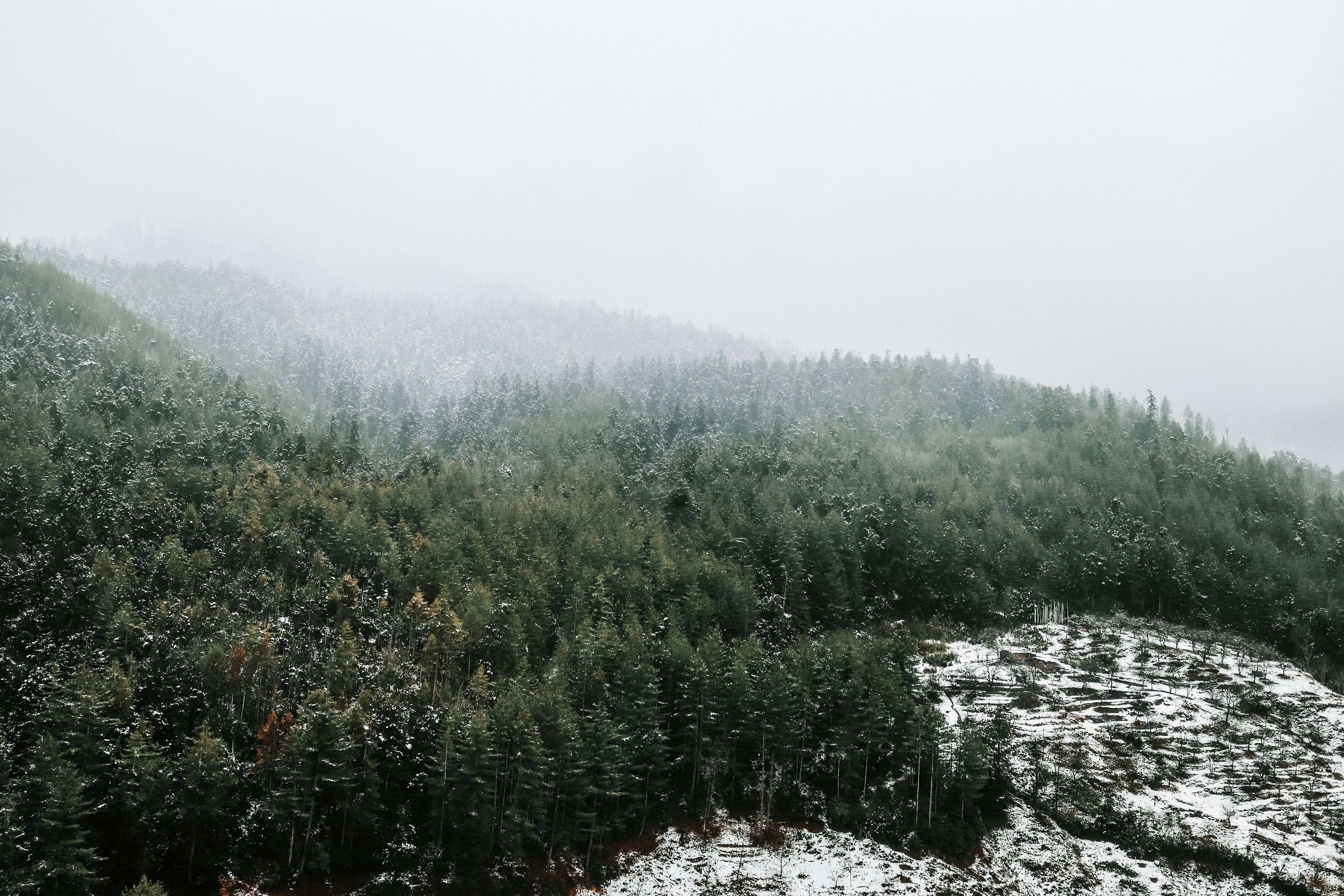 Photo by likhitdixit