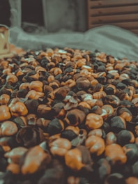 Close-up of fresh makhana seeds spilling from a rustic sack on a wooden table.