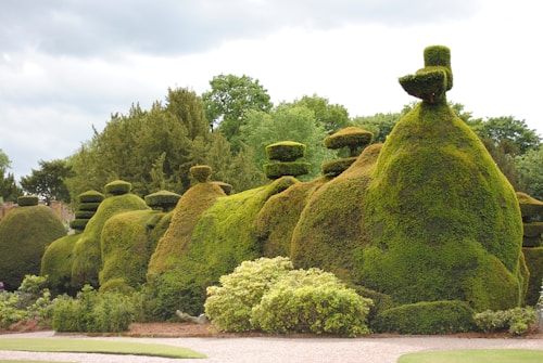 Topiary Garden