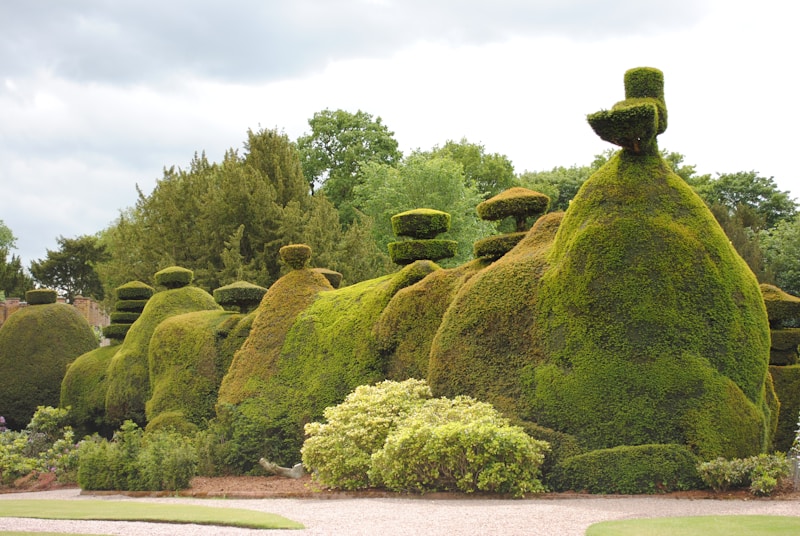 Irish garden