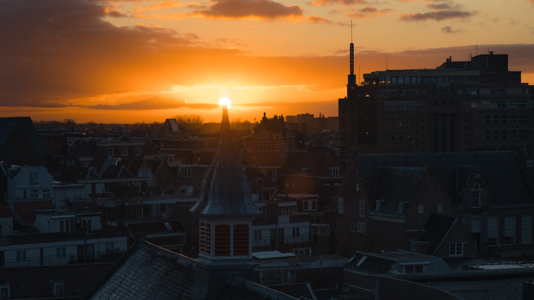 high rise buildings during sunset