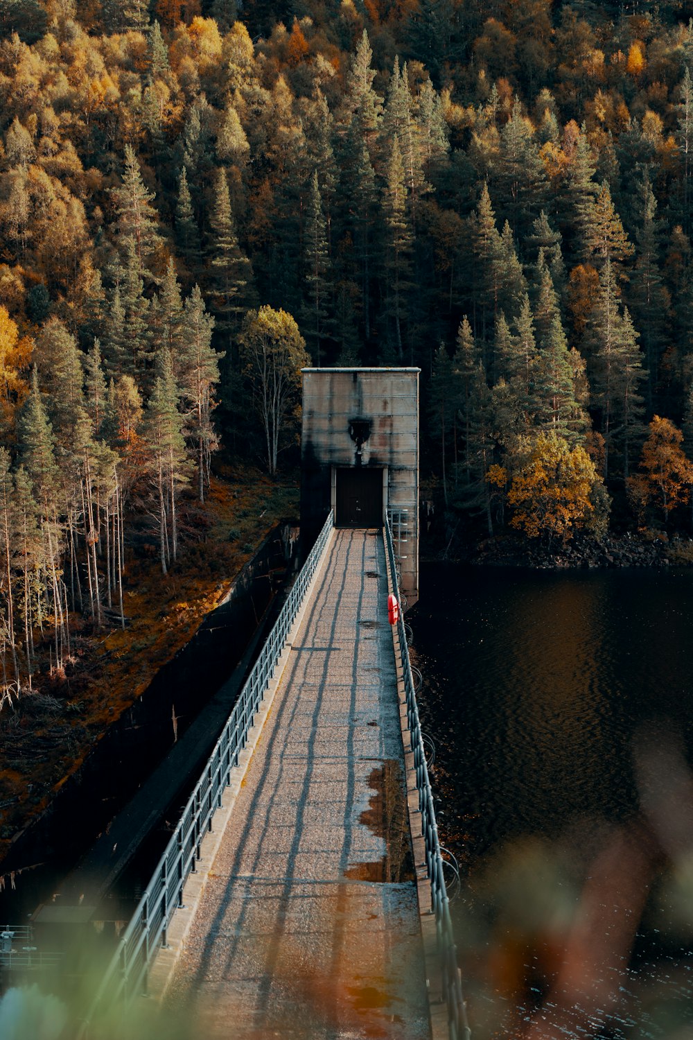 gray wooden bridge over river