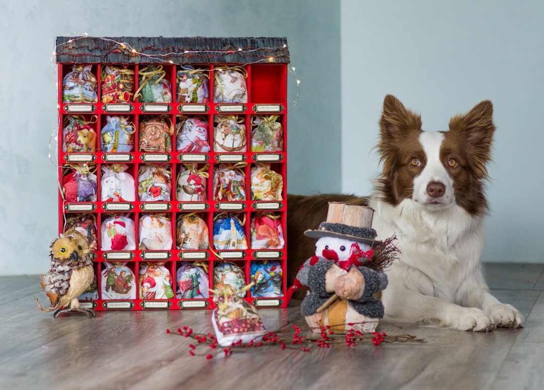 red and blue gift wrapper