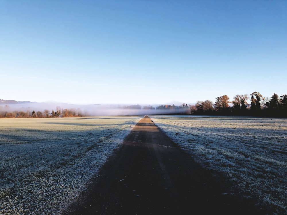 gray asphalt road between green grass field under blue sky during daytime