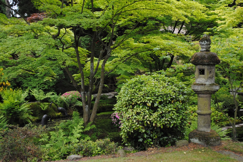 昼間の緑の芝生に緑の木々