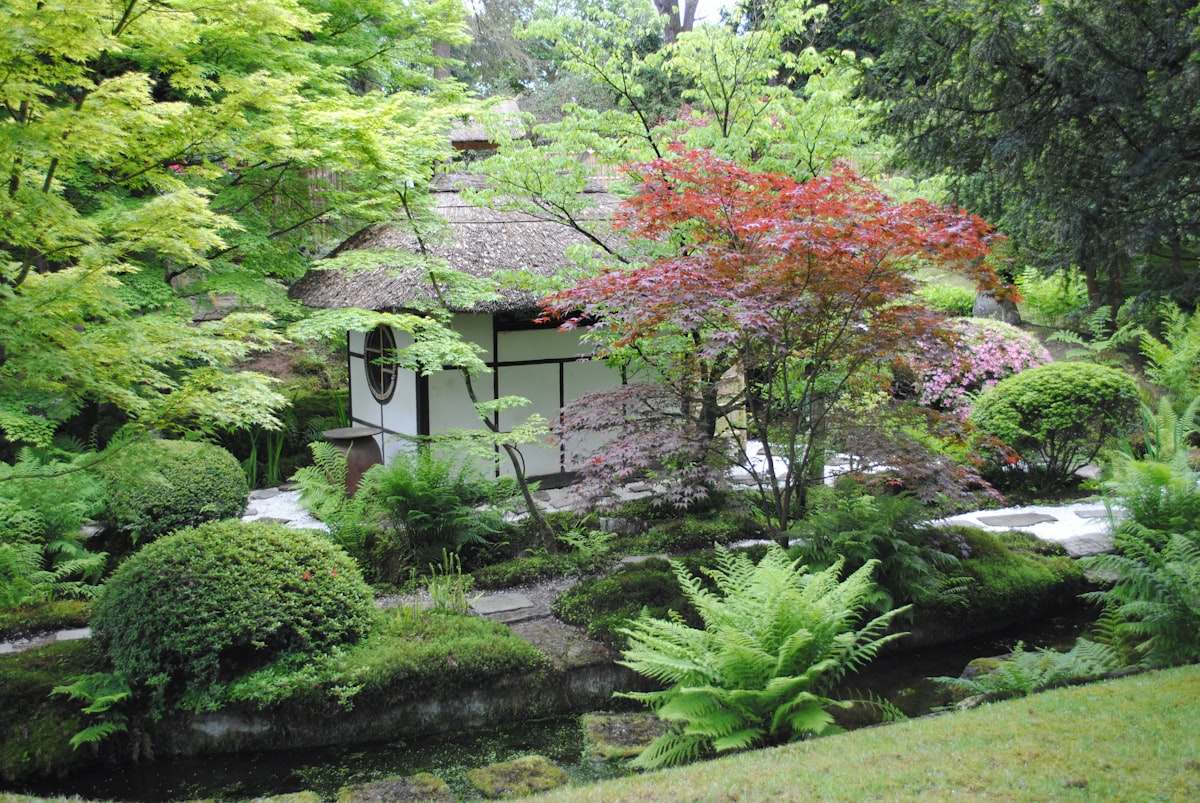 Garden & Engawa