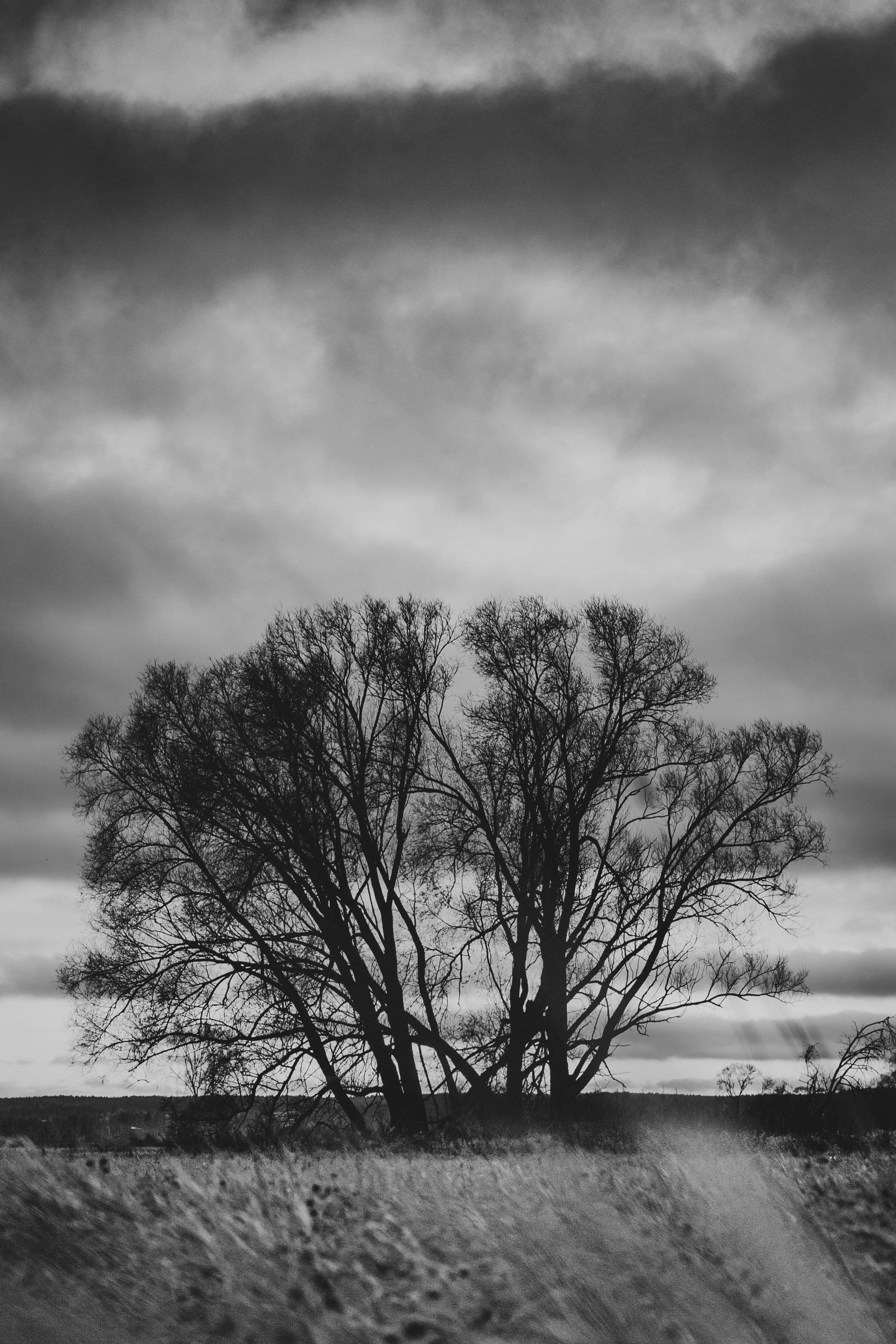 Photo by masaarakshas