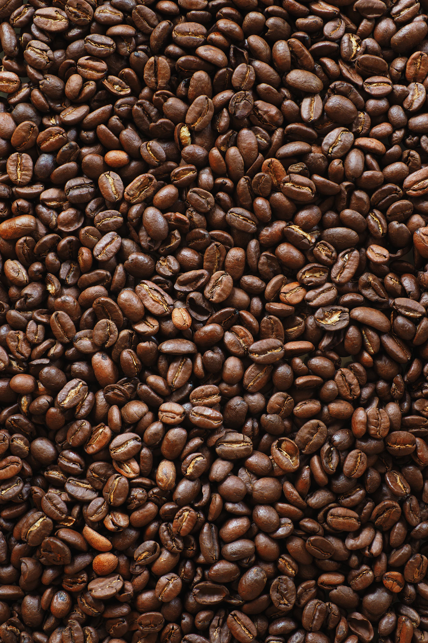 Tueste de café
