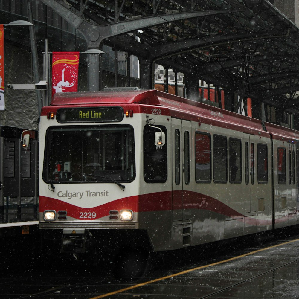 red and white train on rail