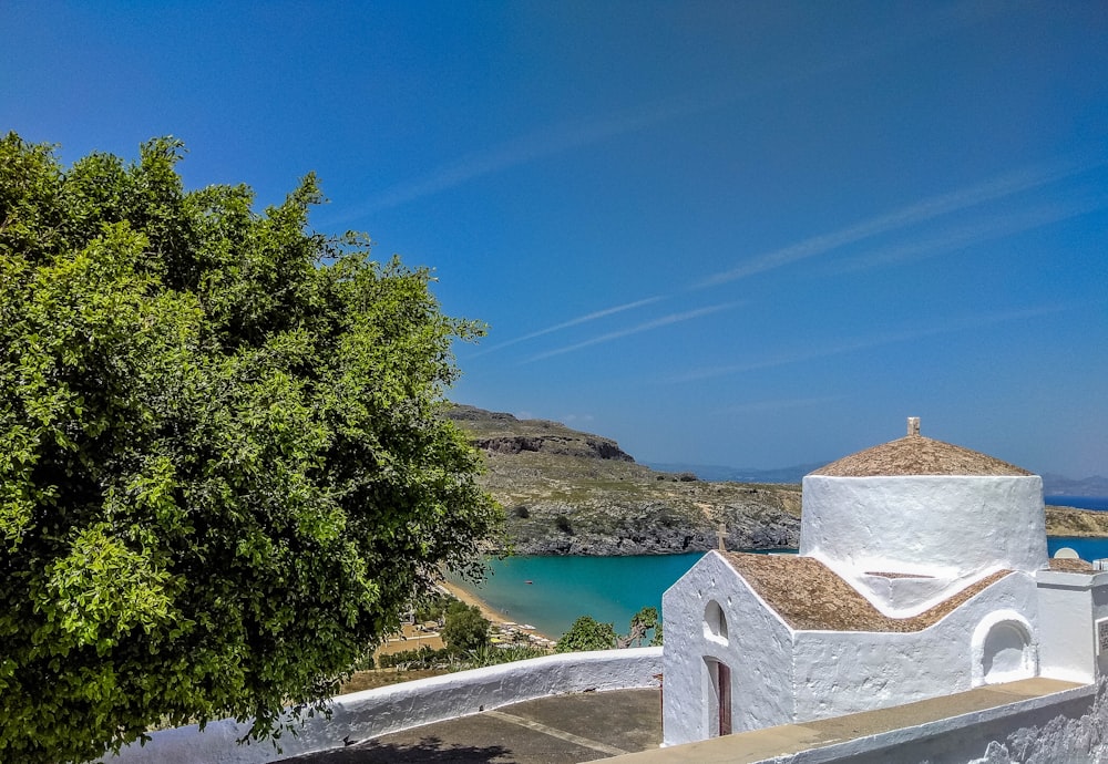 white concrete building near green trees and body of water during daytime