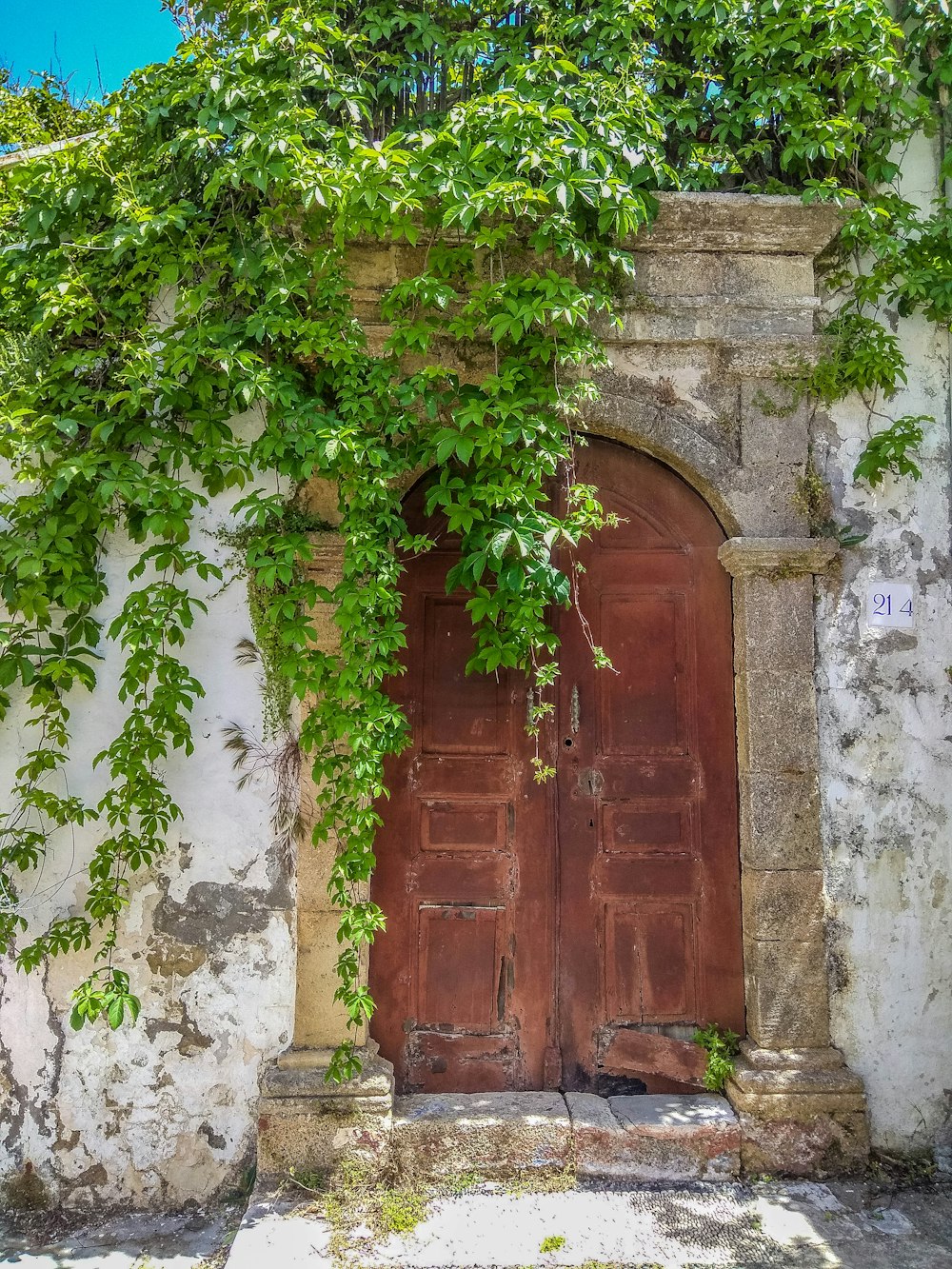 brown wooden door with green leaves