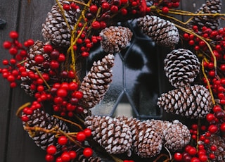 red and brown pine cones