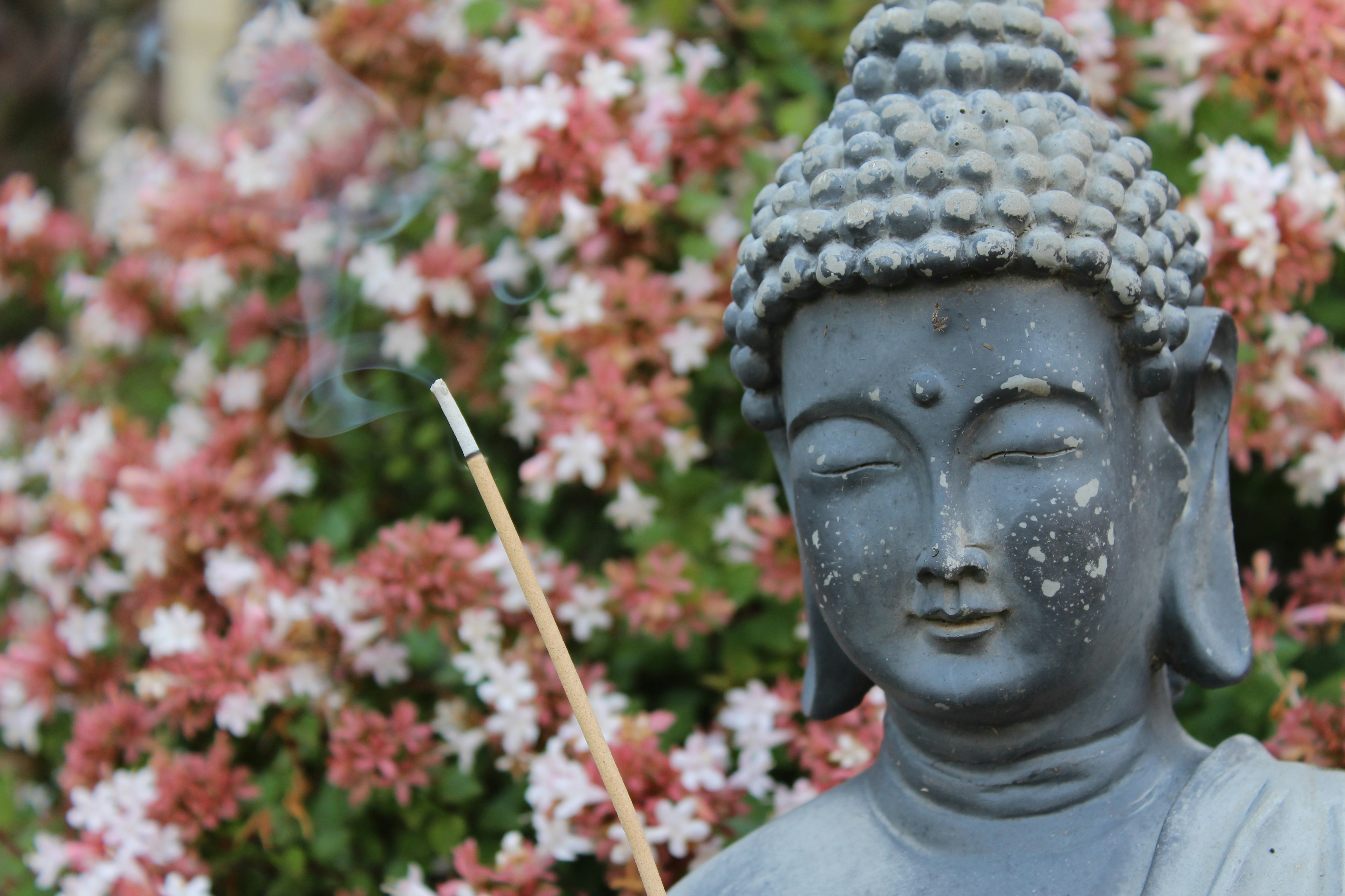 Photo by cassierose15