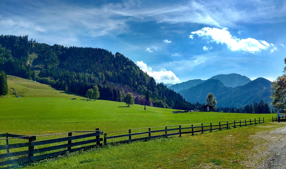 green grass field near green trees and mountains under white clouds and blue sky during daytime