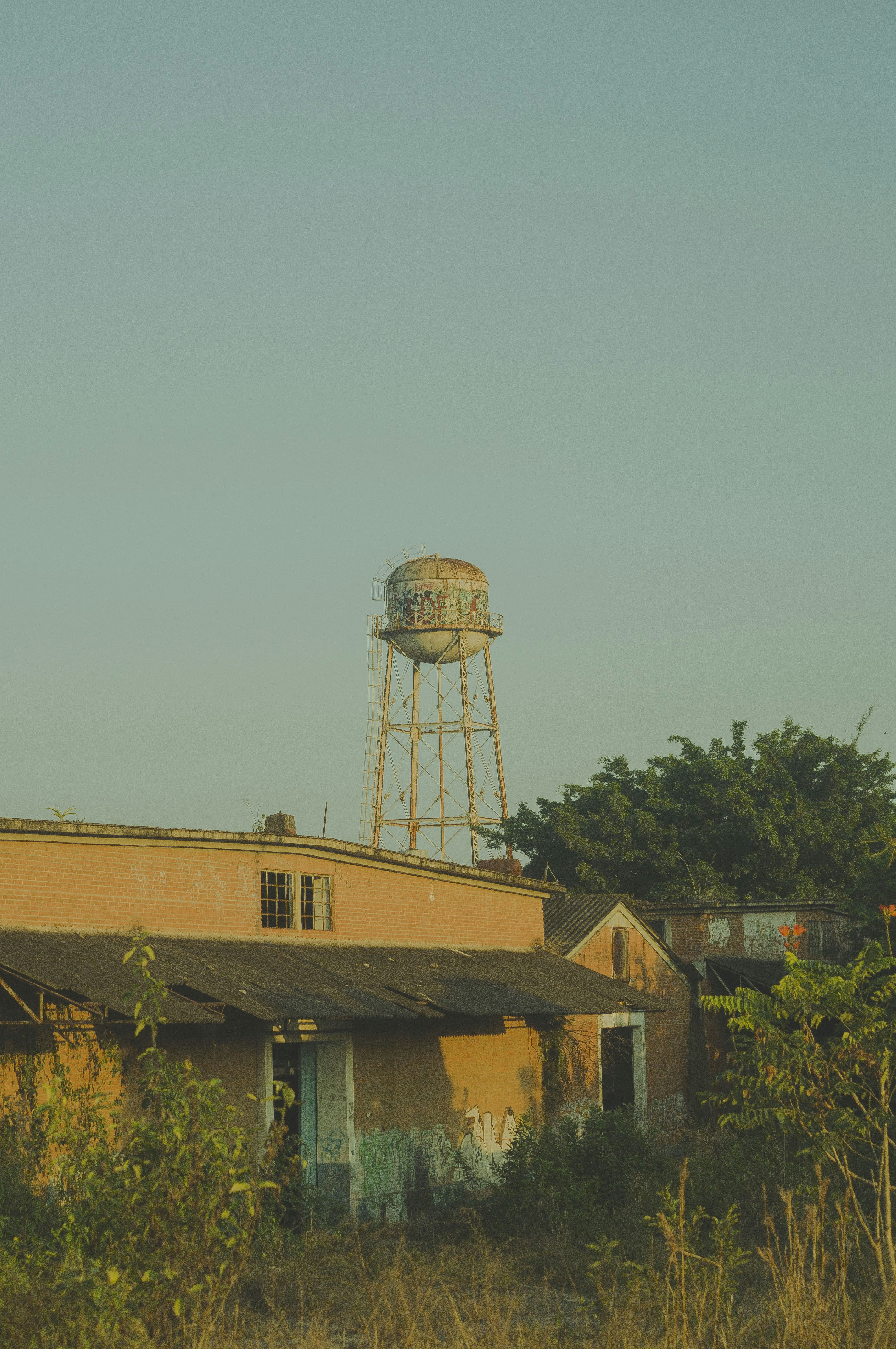 Photo by yosoyartmdez