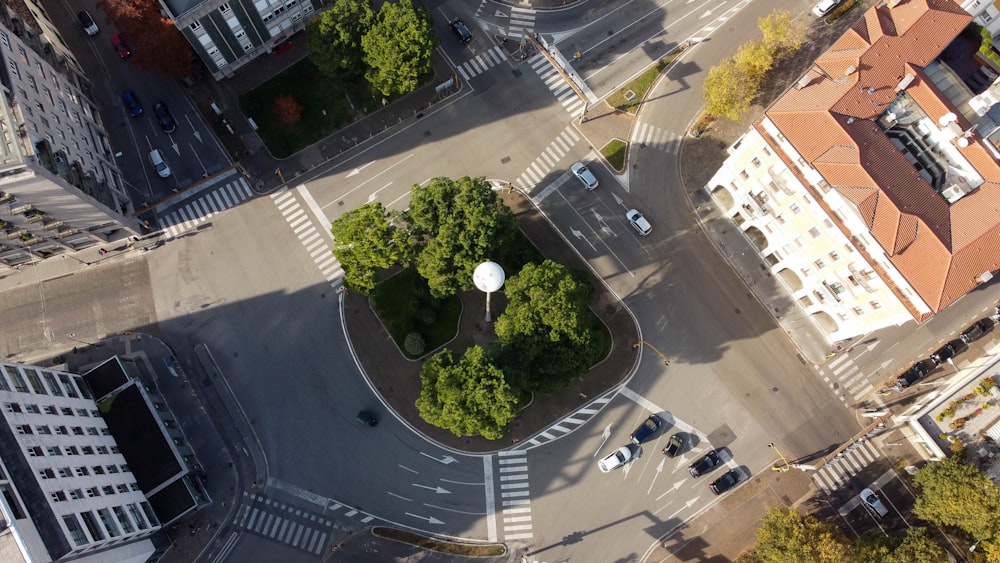 Vue aérienne d’arbres verts et de voitures sur la route pendant la journée