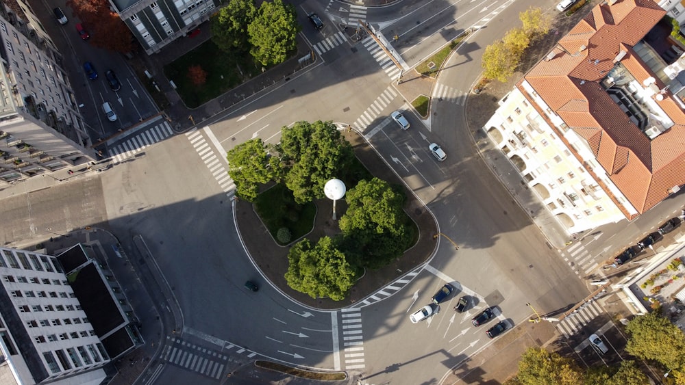 vista aérea de árvores verdes e carros na estrada durante o dia