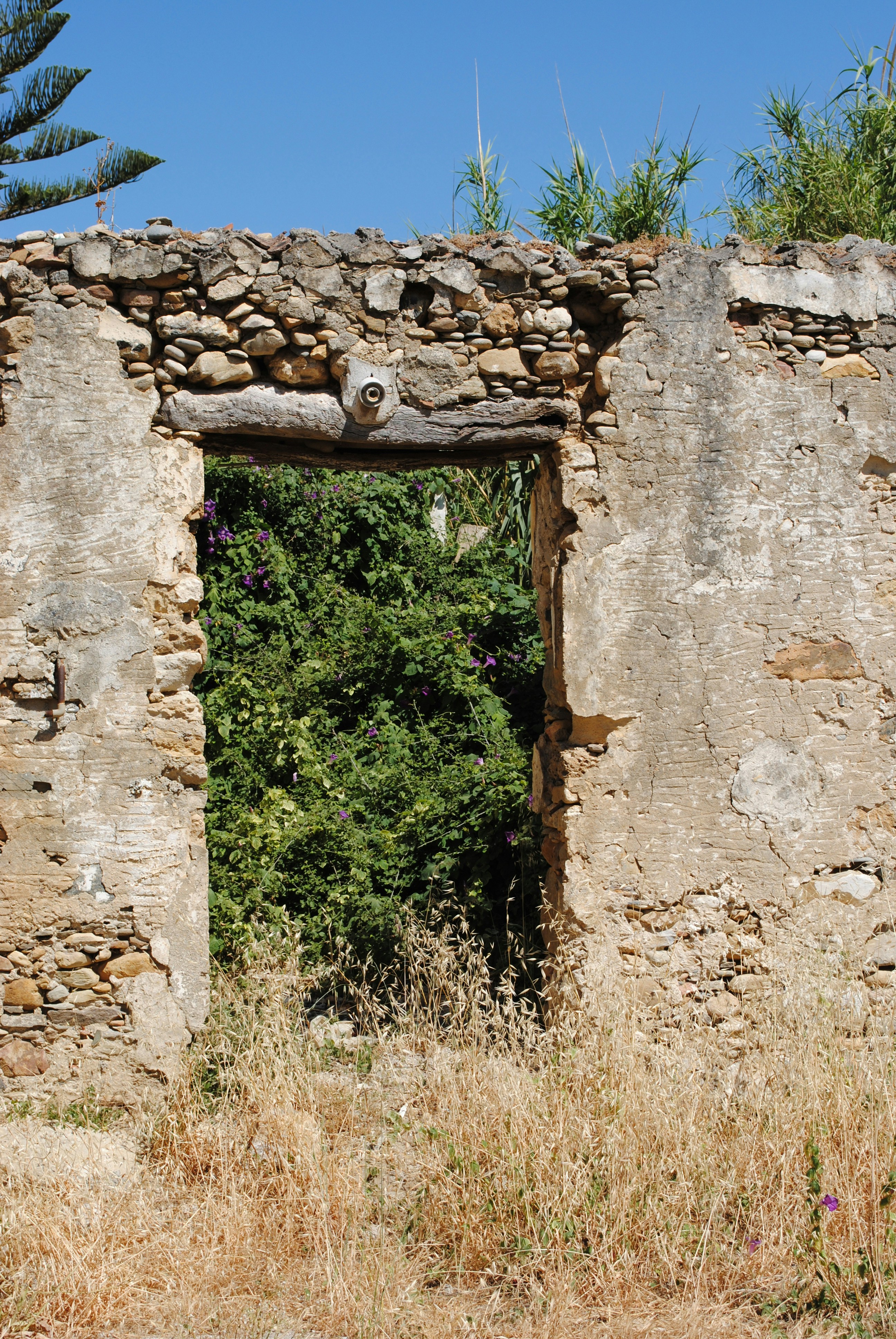 Photo by orrell_mount