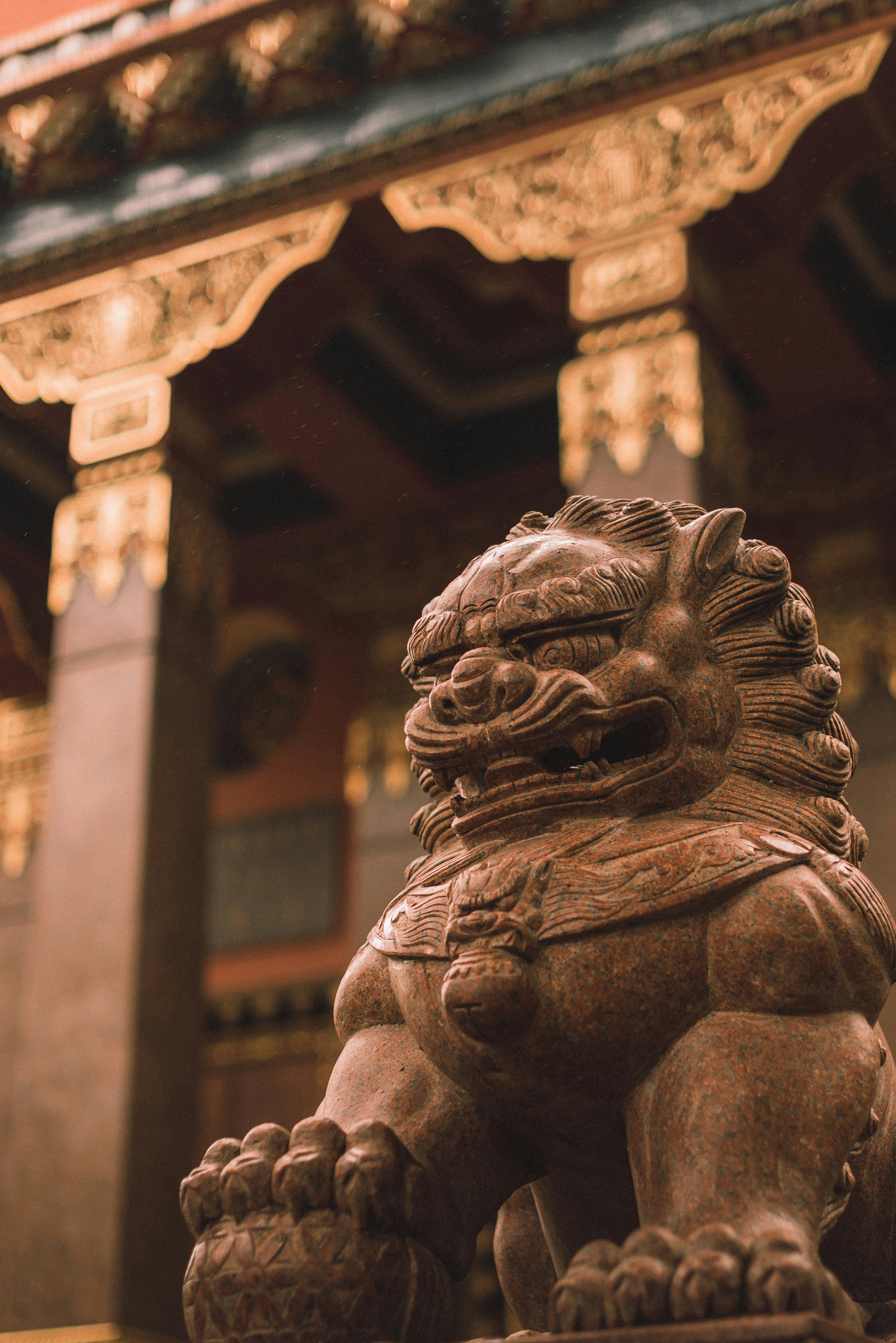 Photo by lubitglazami