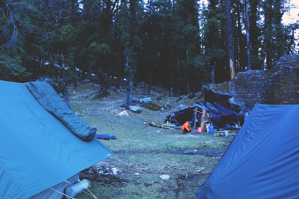 blue tent near bonfire and trees during night time