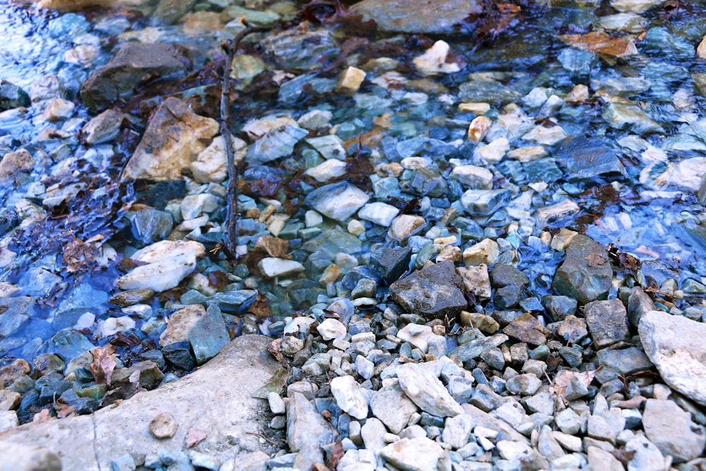 gray and brown stones on water