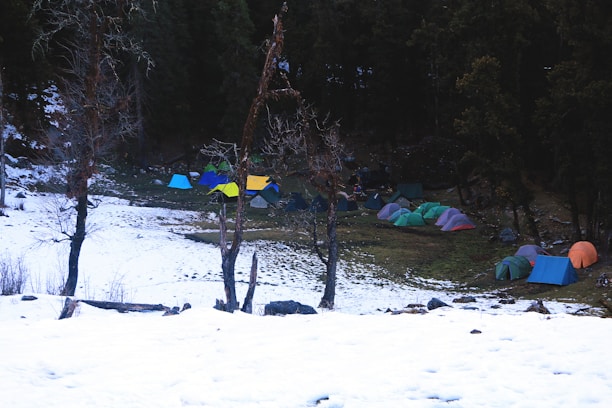 A series of colorful tents are set up on a patch of grass partially covered with snow, surrounded by tall trees. The varied colors of the tents include shades of blue, green, purple, and orange, creating a vibrant contrast against the dark forest backdrop and the white snow.