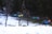 A series of colorful tents are set up on a patch of grass partially covered with snow, surrounded by tall trees. The varied colors of the tents include shades of blue, green, purple, and orange, creating a vibrant contrast against the dark forest backdrop and the white snow.