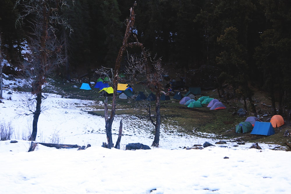 green tent on snow covered ground during daytime