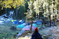 people sitting on camping chairs near tent and trees during daytime