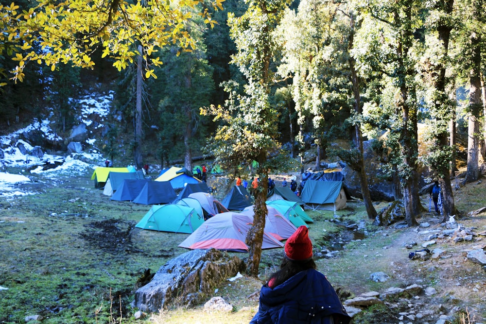 people sitting on camping chairs near tent and trees during daytime