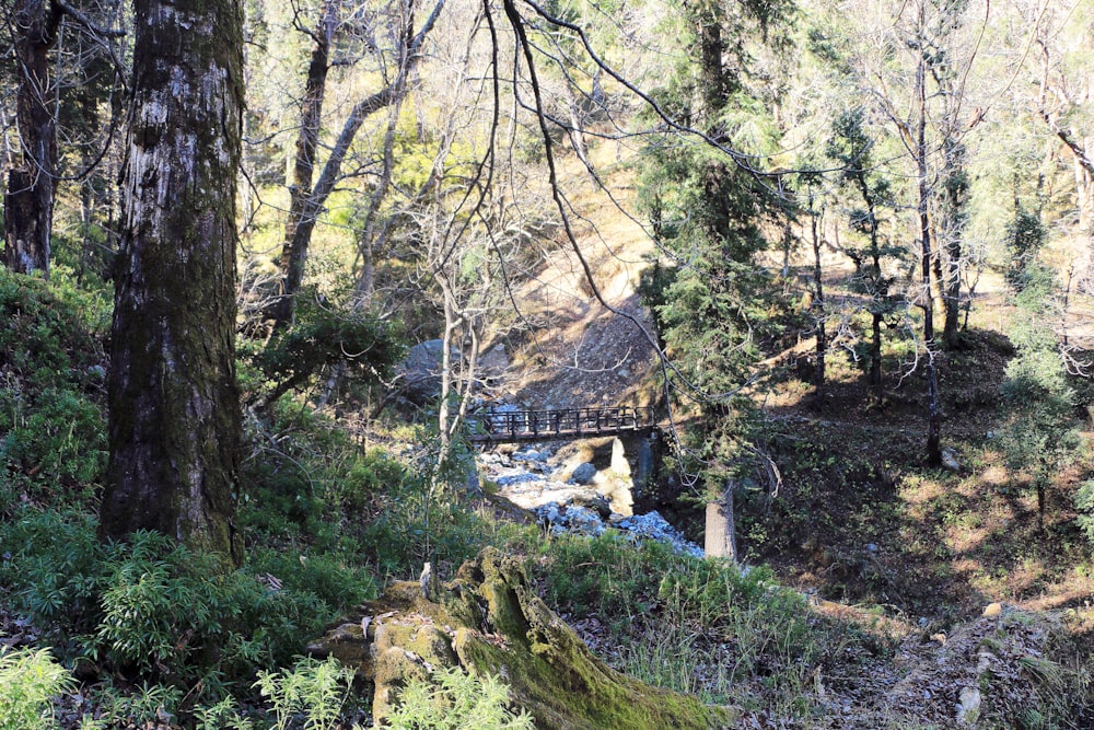 Puente de madera marrón sobre el río