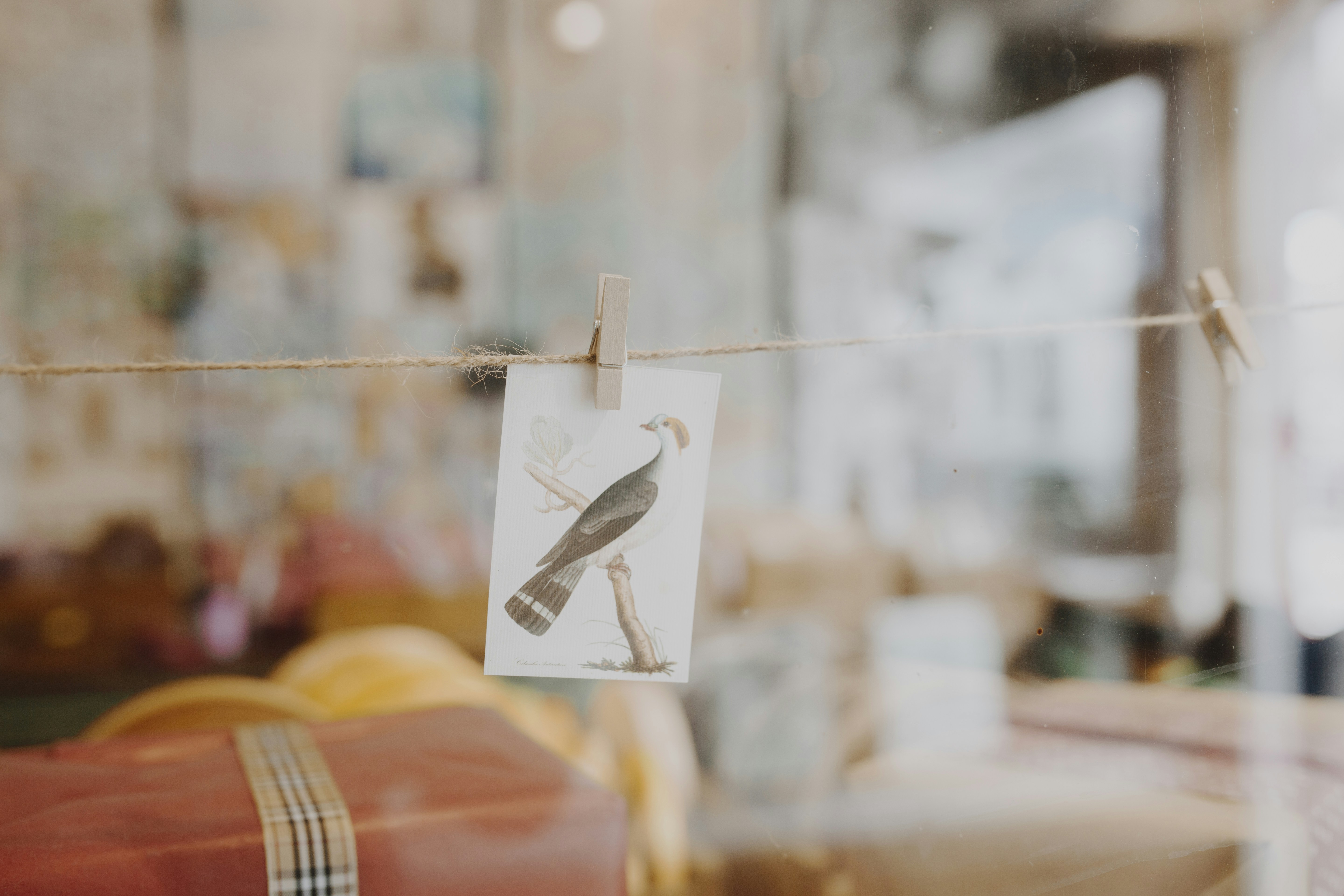 Photo by i_am_simoesse