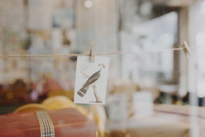 A cozy home display where postcards from Color Club are pinned on a corkboard