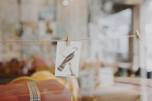 A postcard with an illustration of a bird is clipped to a string using a clothespin. The background is blurred, featuring warm, muted tones and indistinct shapes that suggest an interior setting.