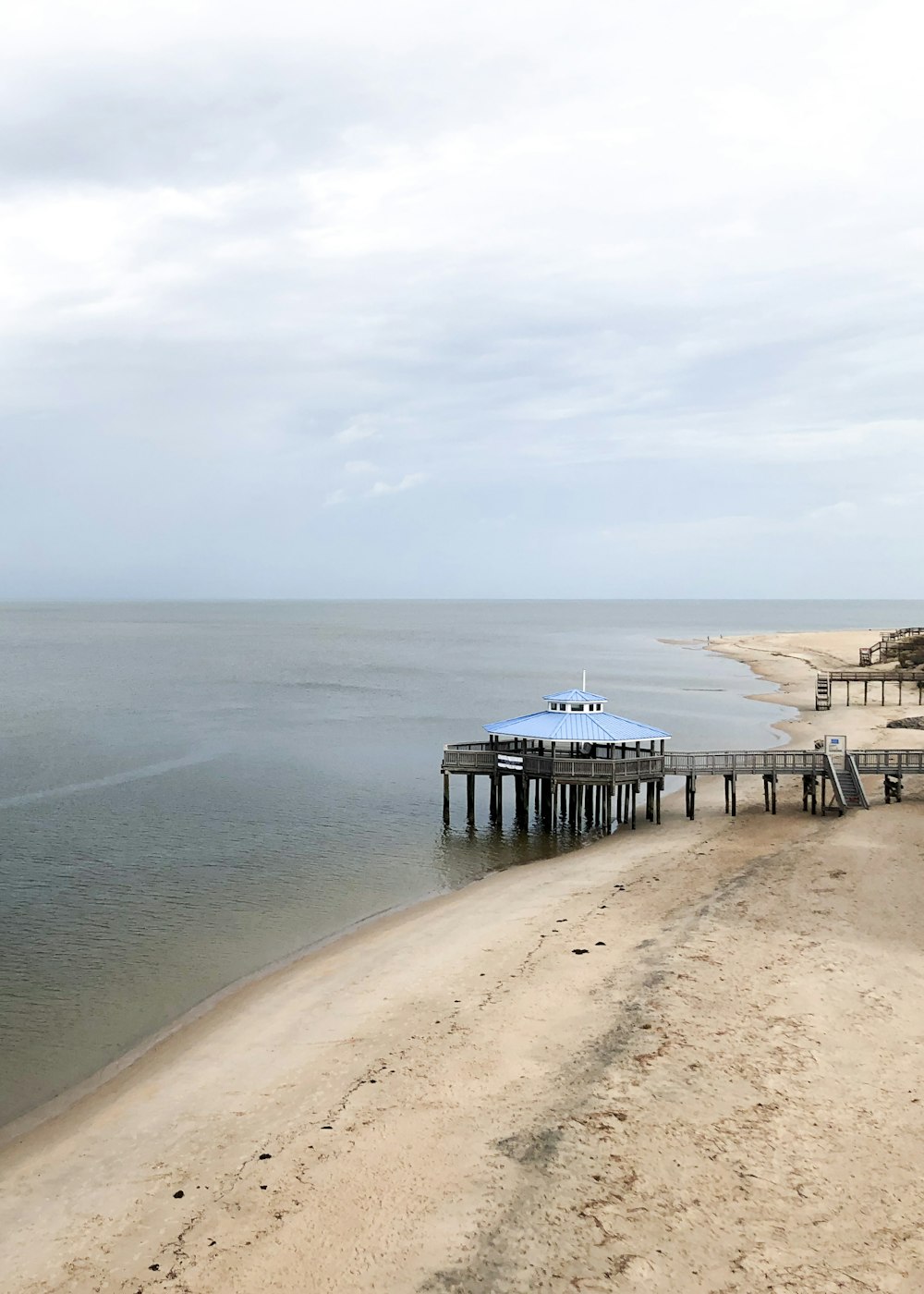 people on beach during daytime