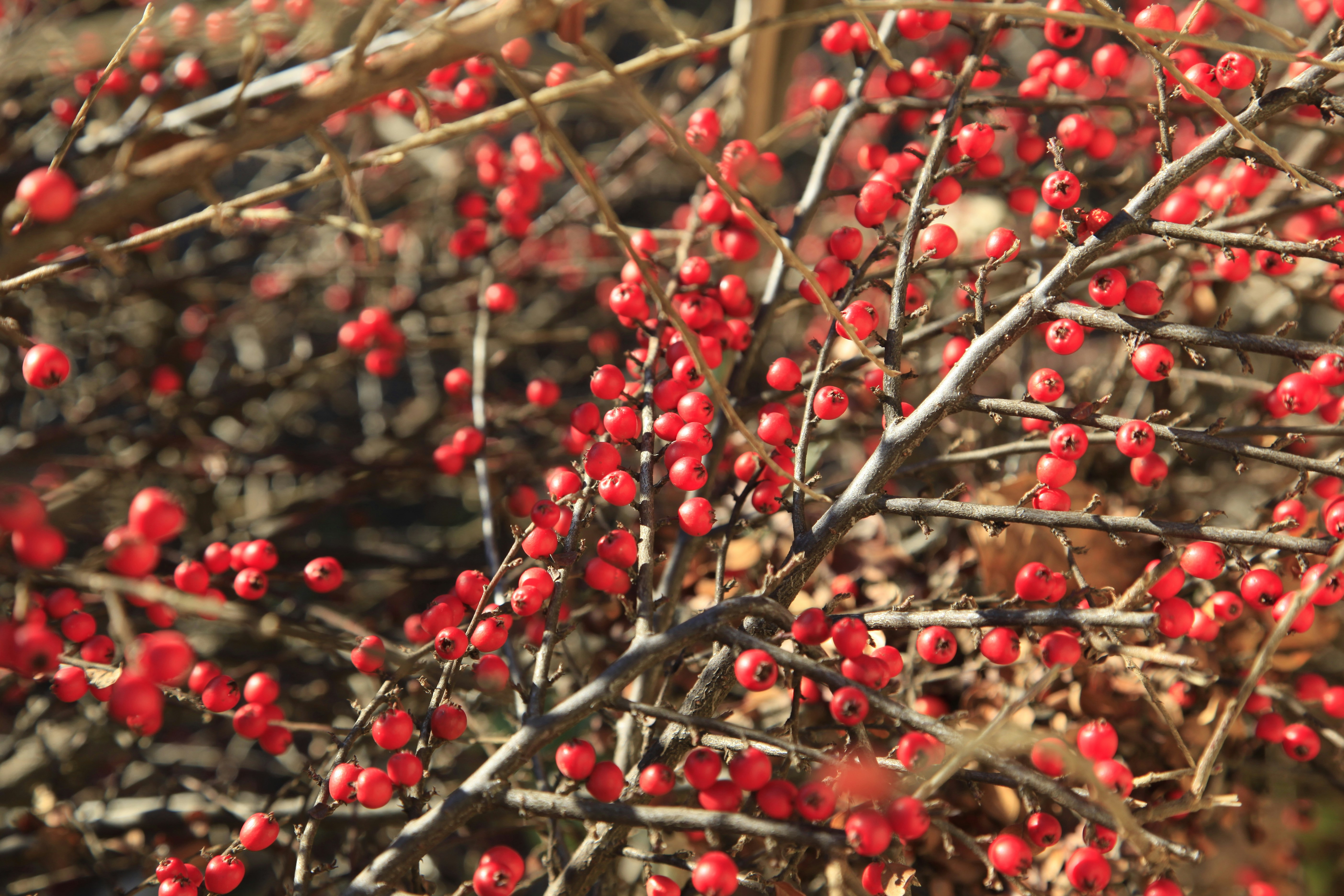 Photo by christycamera