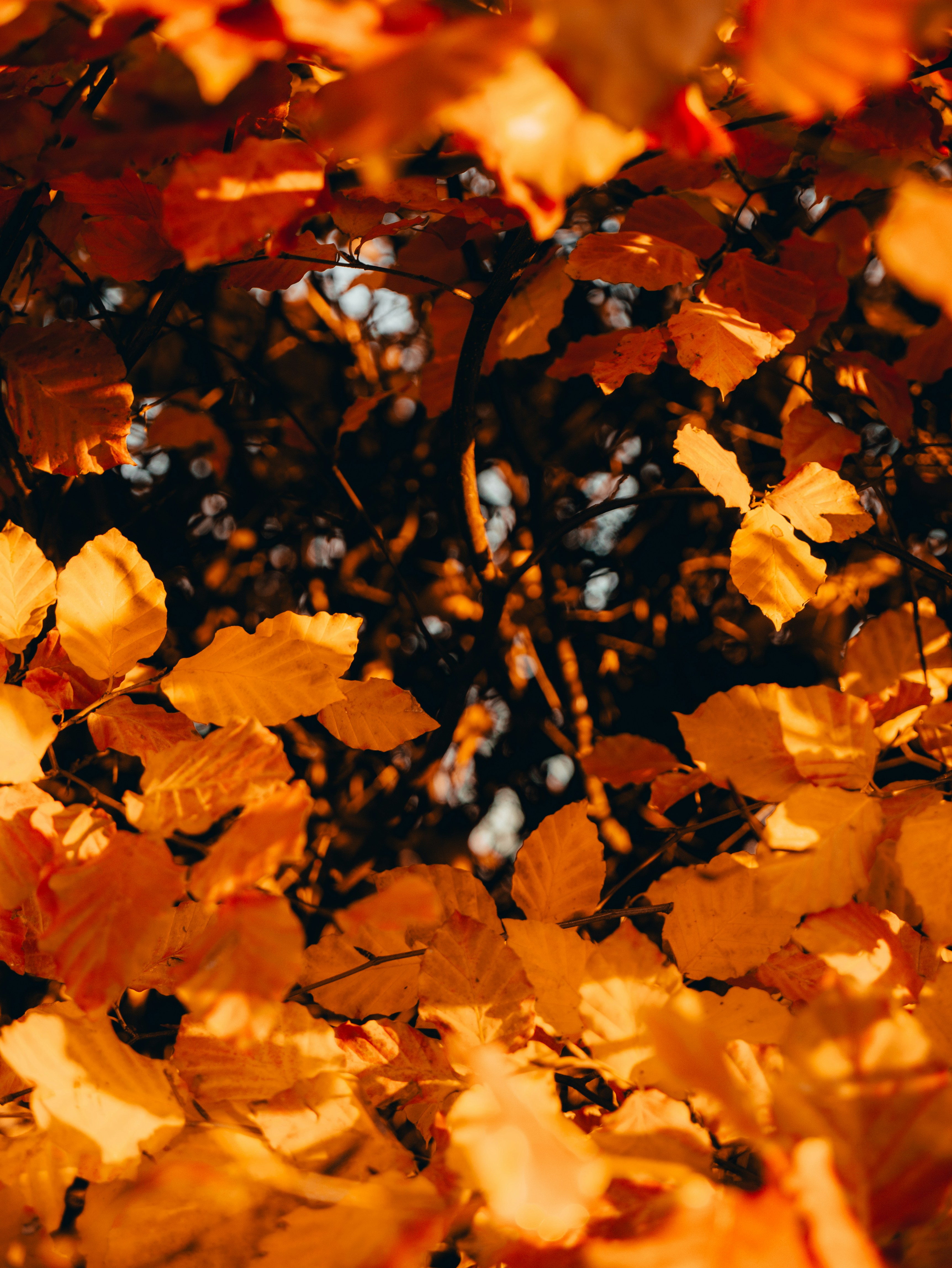 Photo by mattseymour