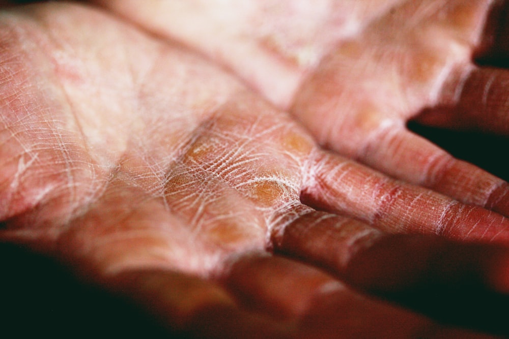 person holding brown and white textile