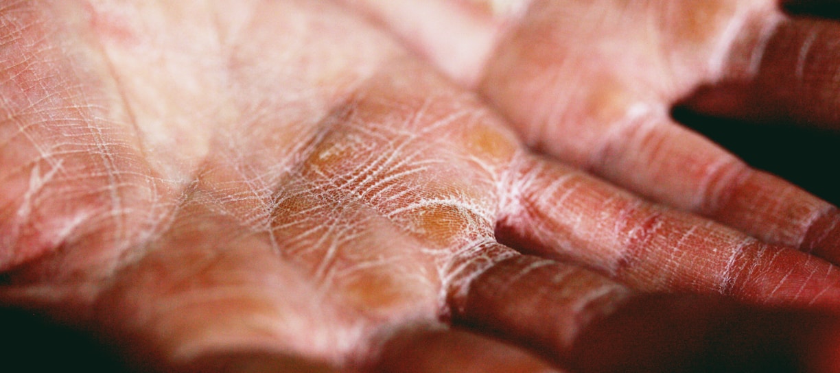 person holding brown and white textile