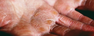 person holding brown and white textile