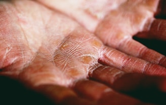 person holding brown and white textile