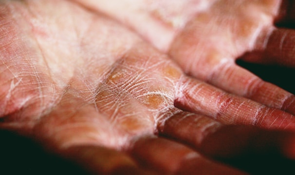 person holding brown and white textile