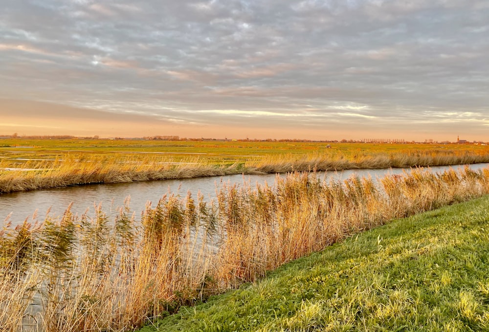 green grass field near lake under cloudy sky during daytime