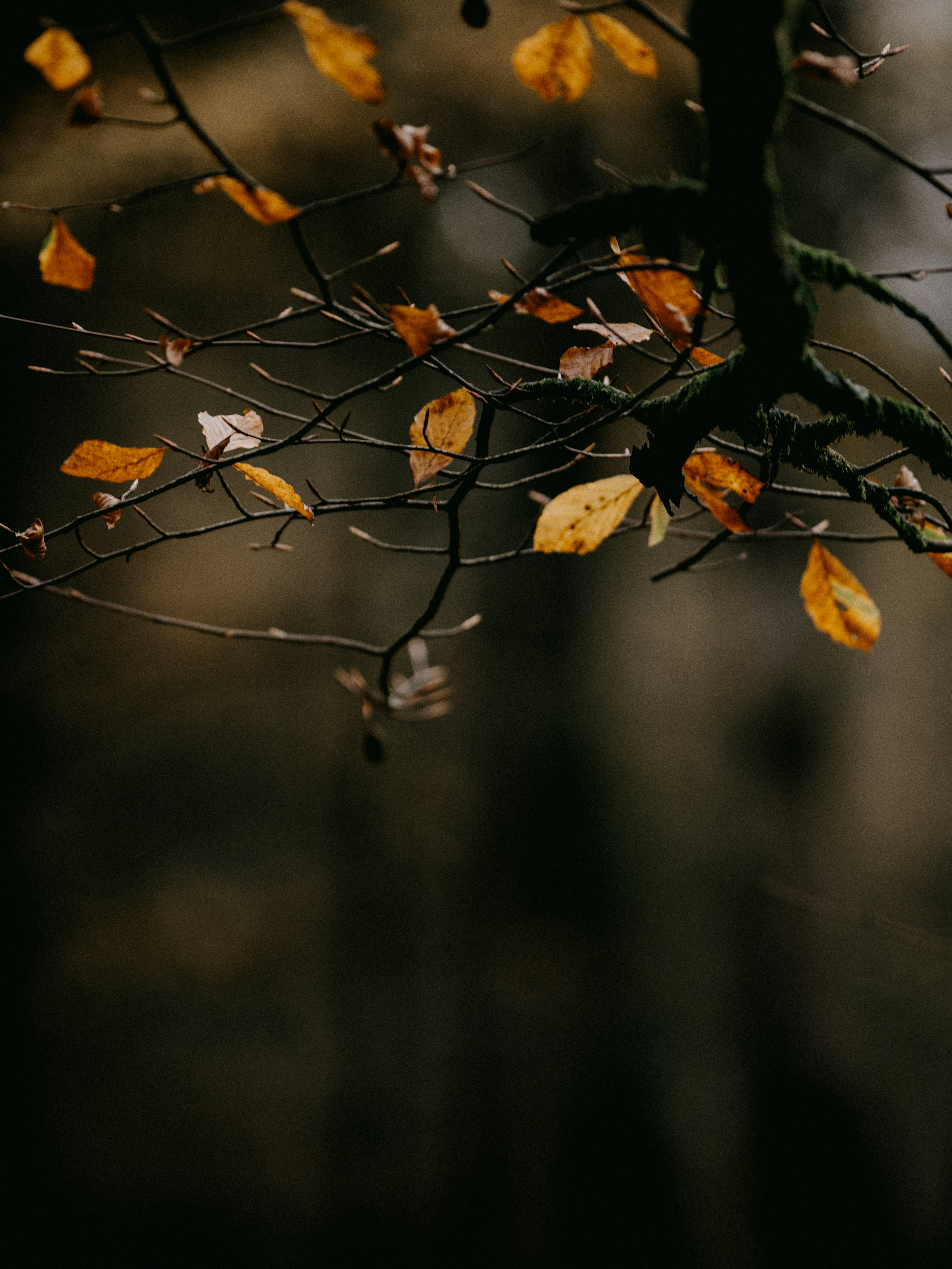 Photo by anniespratt