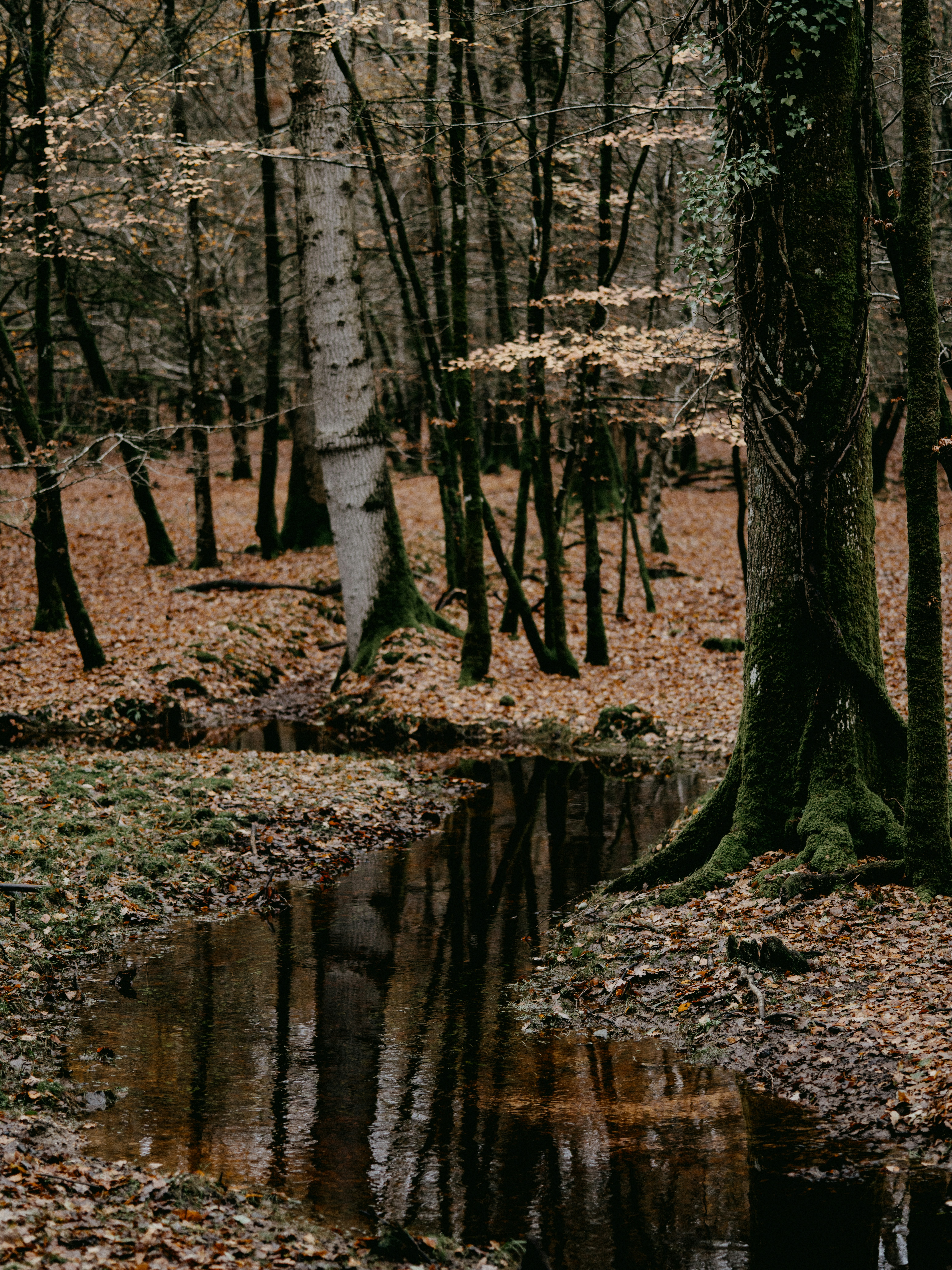 Photo by anniespratt